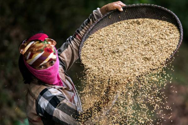 Fantasic Vietnam 8 Days