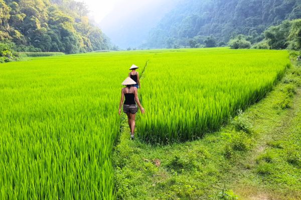 Mai Chau - Pu Luong Route: What to See and Do?