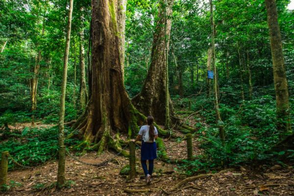 10 Best National Parks in Vietnam