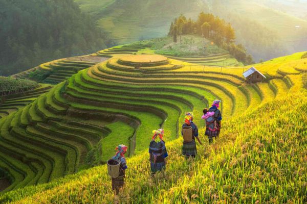 The Ultimate Guide to Sapa, Vietnam 2024