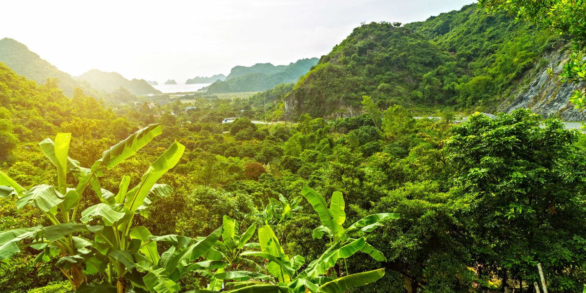 Cat Ba National Park