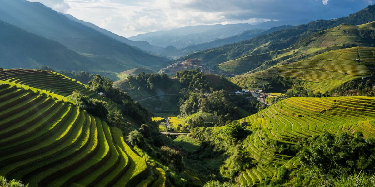 Terrace Rice Fields in Northern Mountains