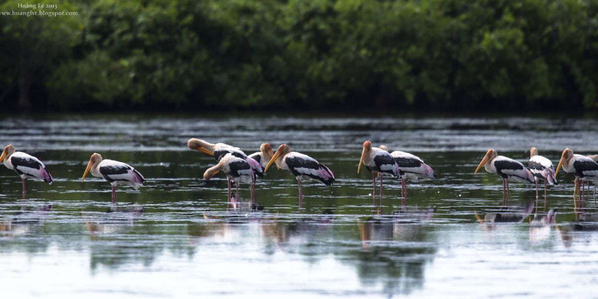 Xuan Thuy National Park