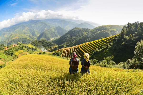 Tour in Vietnam